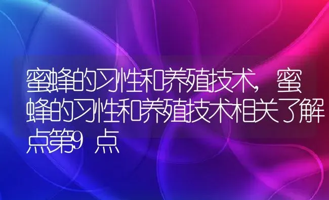 蜜蜂的习性和养殖技术,蜜蜂的习性和养殖技术相关了解点第9点 | 养殖学堂