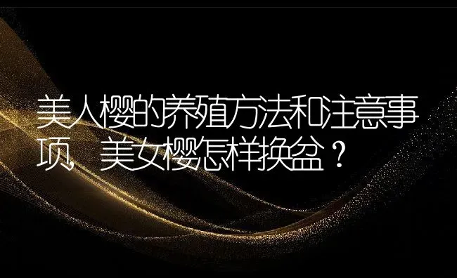 美人樱的养殖方法和注意事项,美女樱怎样换盆？ | 养殖科普