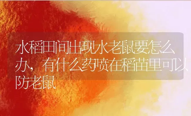 家禽养殖:家禽疾病特点有哪些,家禽肠道疾病为何多发、原因分析有几大因素 | 养殖学堂