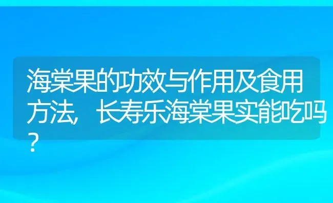 海棠果的功效与作用及食用方法,长寿乐海棠果实能吃吗？ | 养殖科普