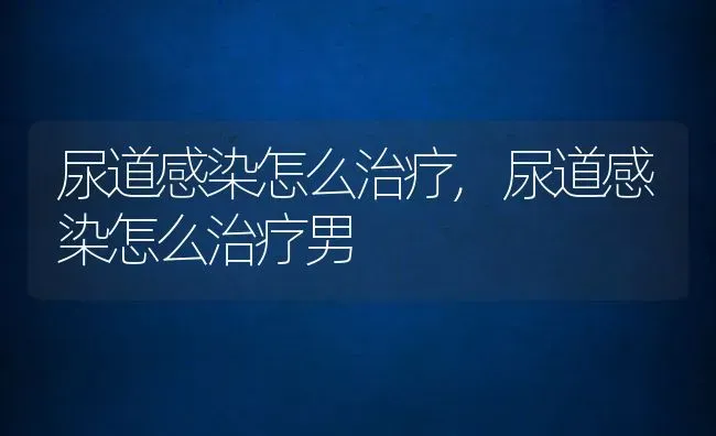 尿道感染怎么治疗,尿道感染怎么治疗男 | 养殖科普