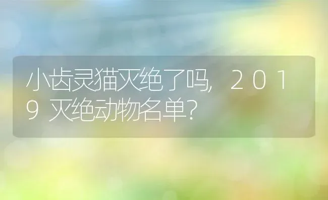 小齿灵猫灭绝了吗,2019灭绝动物名单？ | 养殖学堂