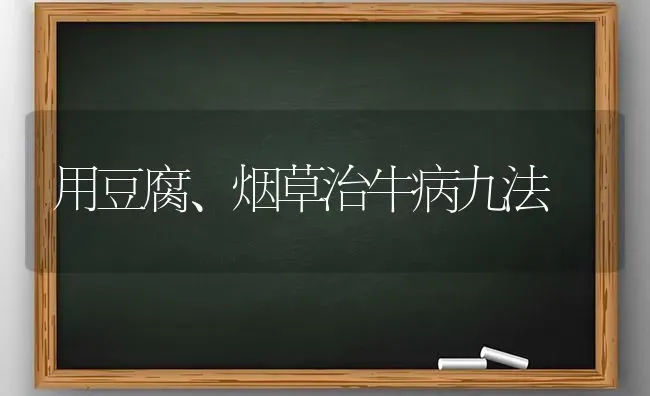 用豆腐、烟草治牛病九法 | 养殖技术大全