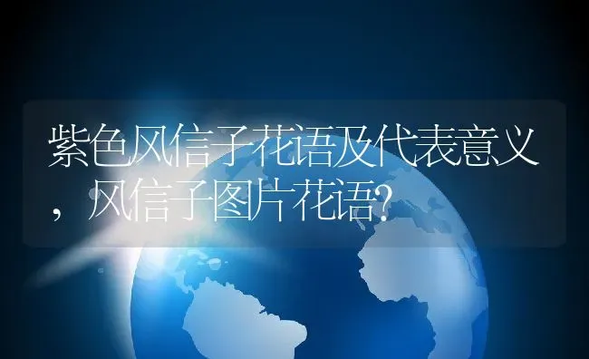 紫色风信子花语及代表意义,风信子图片花语？ | 养殖科普