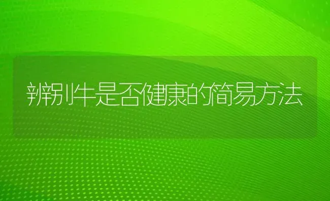 辨别牛是否健康的简易方法 | 养殖知识