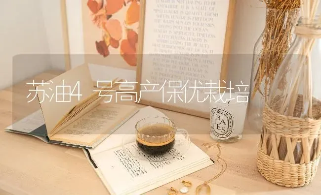 苏油4号高产保优栽培 | 养殖知识