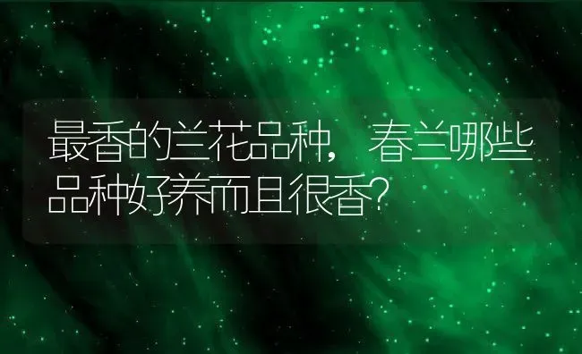最香的兰花品种,春兰哪些品种好养而且很香？ | 养殖科普