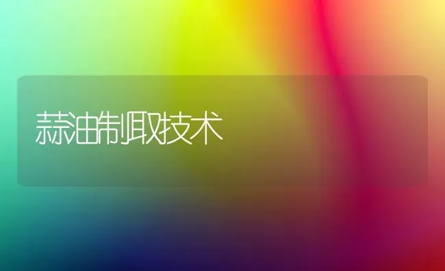 蒜油制取技术 | 养殖知识
