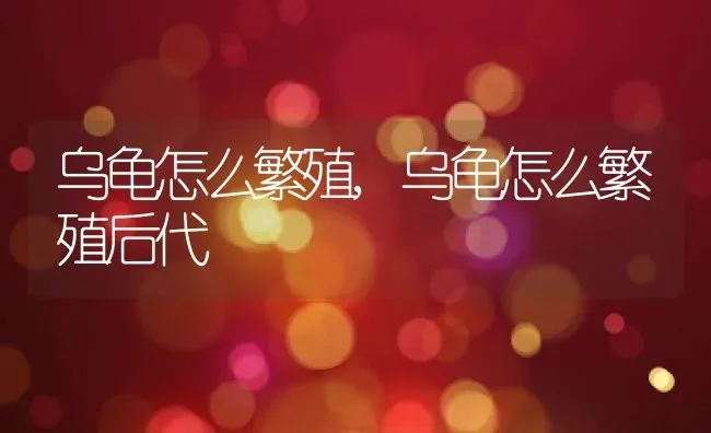 乌龟怎么繁殖,乌龟怎么繁殖后代 | 养殖资料