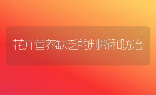 花卉营养缺乏的判断和防治 | 养殖知识