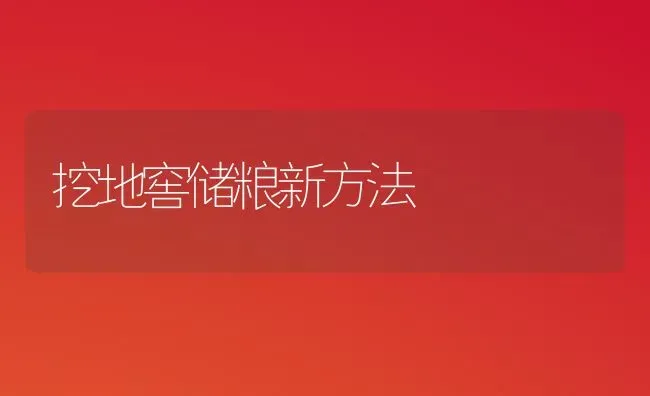 挖地窖储粮新方法 | 养殖技术大全