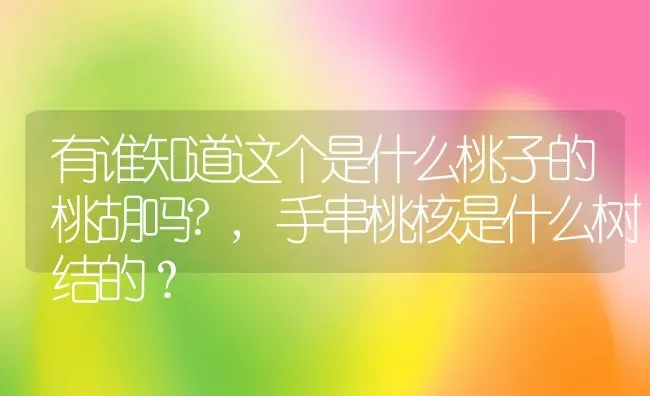 有谁知道这个是什么桃子的桃胡吗?,手串桃核是什么树结的？ | 养殖科普