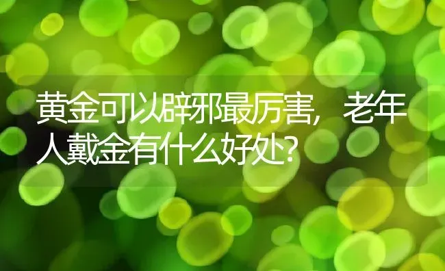 黄金可以辟邪最厉害,老年人戴金有什么好处？ | 养殖科普