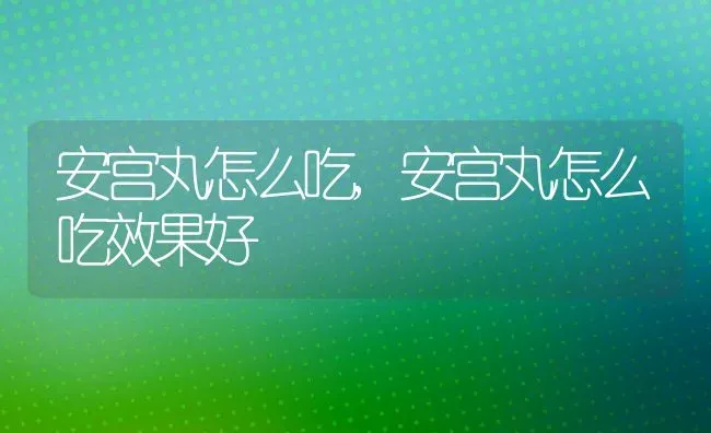安宫丸怎么吃,安宫丸怎么吃效果好 | 养殖科普