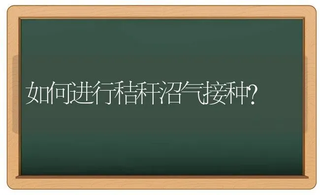 如何进行秸秆沼气接种? | 养殖知识