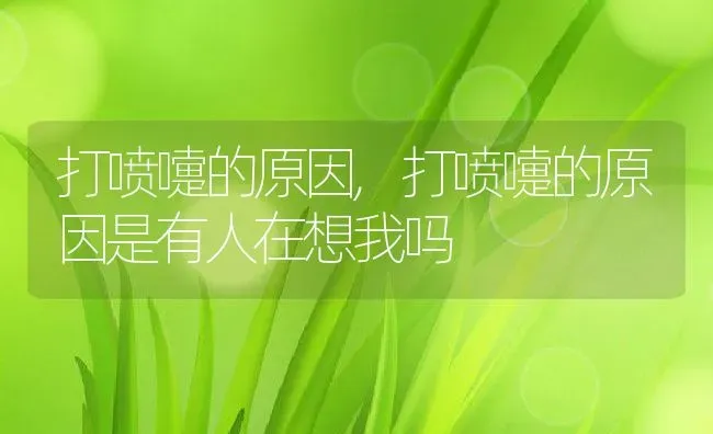 打喷嚏的原因,打喷嚏的原因是有人在想我吗 | 养殖科普