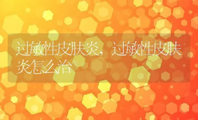 过敏性皮肤炎,过敏性皮肤炎怎么治 | 养殖资料