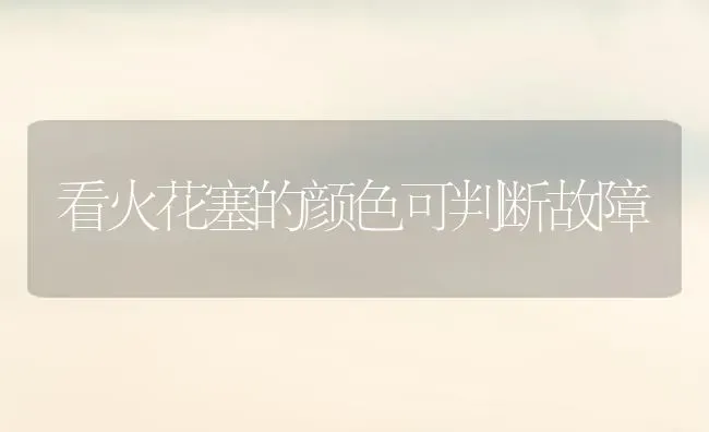 看火花塞的颜色可判断故障 | 养殖知识