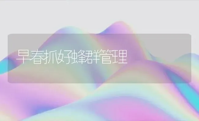 早春抓好蜂群管理 | 养殖技术大全