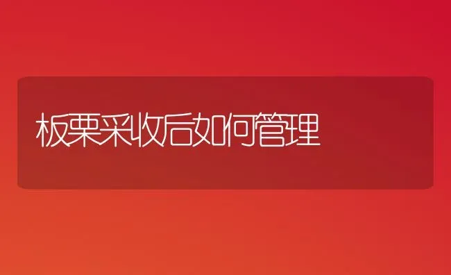 板栗采收后如何管理 | 养殖技术大全