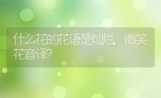 什么花的花语是灿烂,微笑花音译？ | 养殖科普