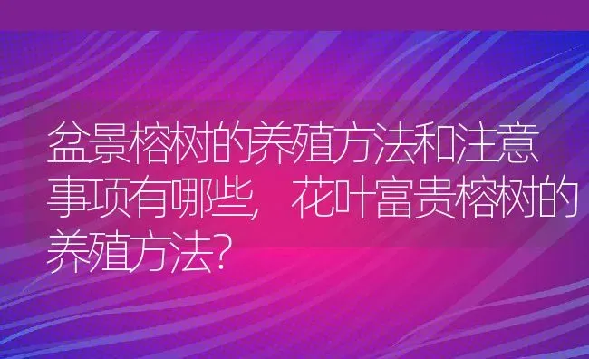 盆景榕树的养殖方法和注意事项有哪些,花叶富贵榕树的养殖方法？ | 养殖科普