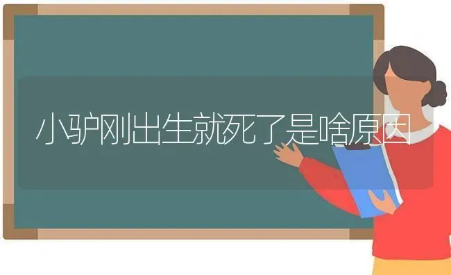 小驴刚出生就死了是啥原因 | 养殖技术大全