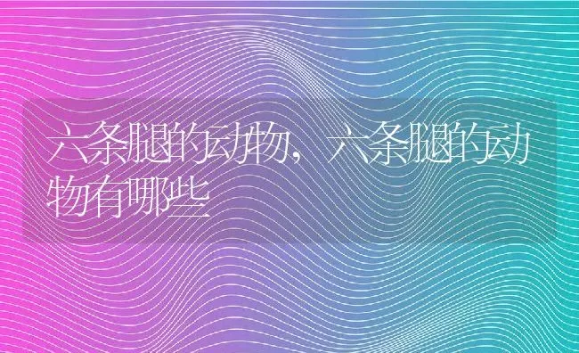 六条腿的动物,六条腿的动物有哪些 | 养殖科普