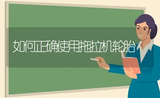 如何正确使用拖拉机轮胎 | 养殖知识