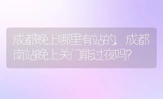 成都晚上哪里有站的,成都南站晚上关门能过夜吗？ | 养殖学堂