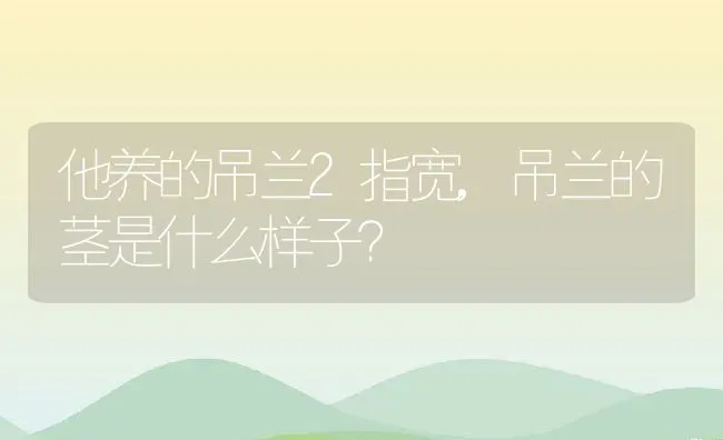 他养的吊兰2指宽,吊兰的茎是什么样子？ | 养殖科普