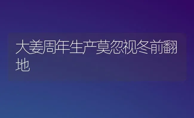 大姜周年生产莫忽视冬前翻地 | 养殖知识