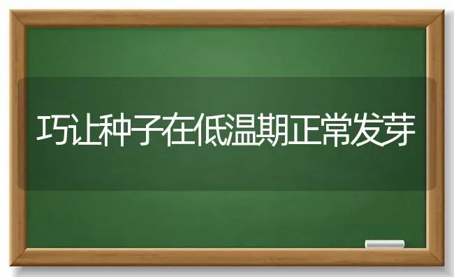 巧让种子在低温期正常发芽 | 养殖知识