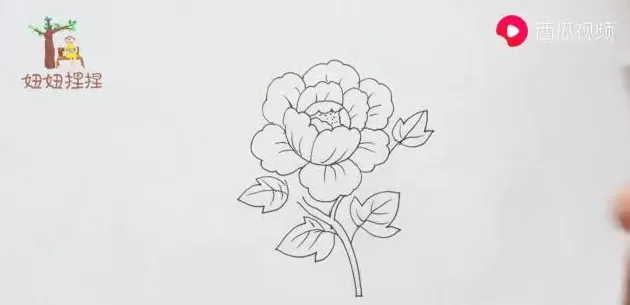牡丹花怎么画,牡丹怎么画儿童版简笔画？
