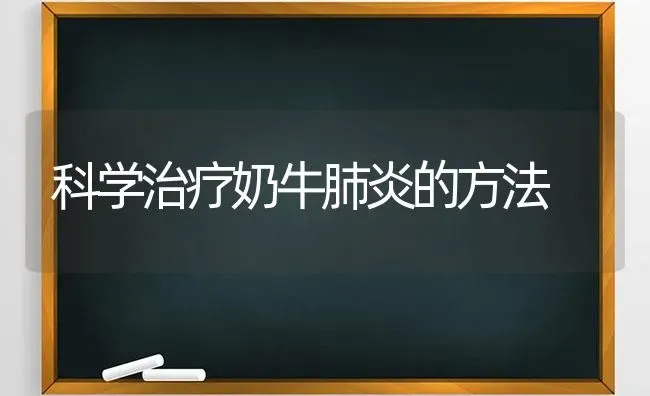 科学治疗奶牛肺炎的方法 | 养殖技术大全