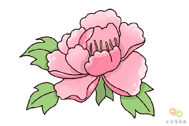 牡丹花怎么画,牡丹怎么画儿童版简笔画？