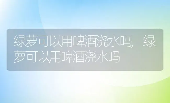 绿萝可以用啤酒浇水吗,绿萝可以用啤酒浇水吗 | 养殖科普