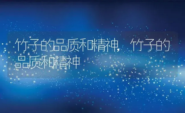 竹子的品质和精神,竹子的品质和精神 | 养殖科普