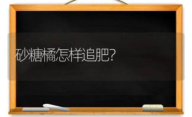 砂糖橘怎样追肥? | 养殖技术大全