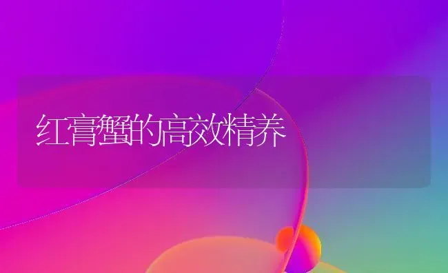 红膏蟹的高效精养 | 养殖技术大全