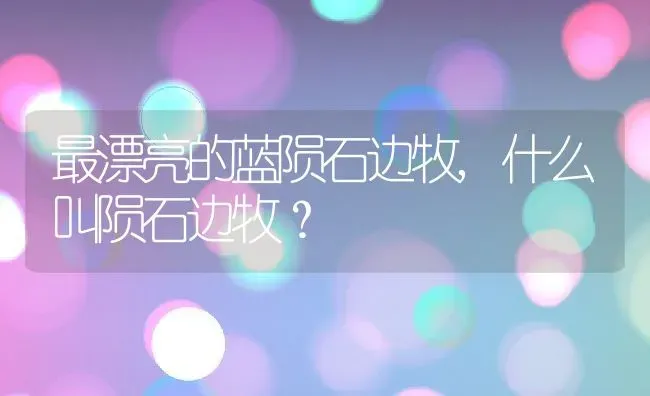 最漂亮的蓝陨石边牧,什么叫陨石边牧？ | 养殖学堂