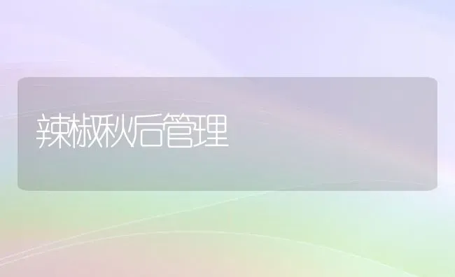 辣椒秋后管理 | 养殖知识