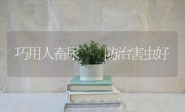 蚕的采茧与售茧 | 养殖技术大全