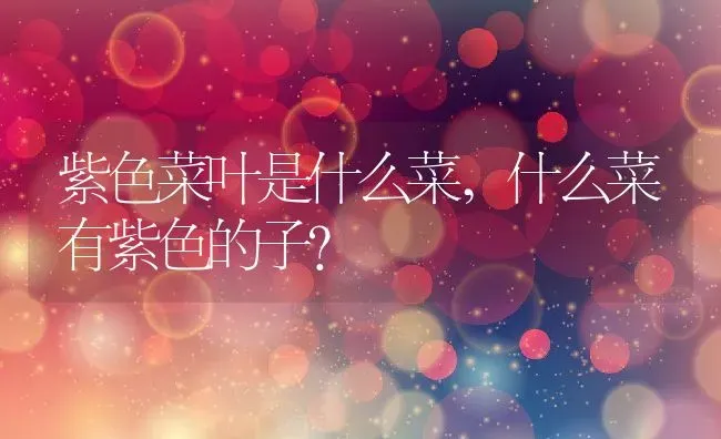 紫色菜叶是什么菜,什么菜有紫色的子？ | 养殖科普