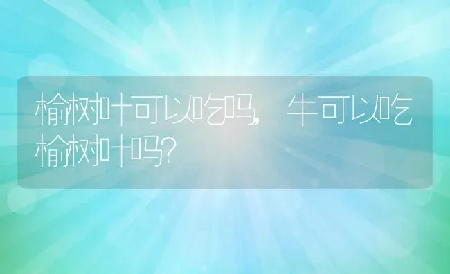 榆树叶可以吃吗,牛可以吃榆树叶吗？ | 养殖科普