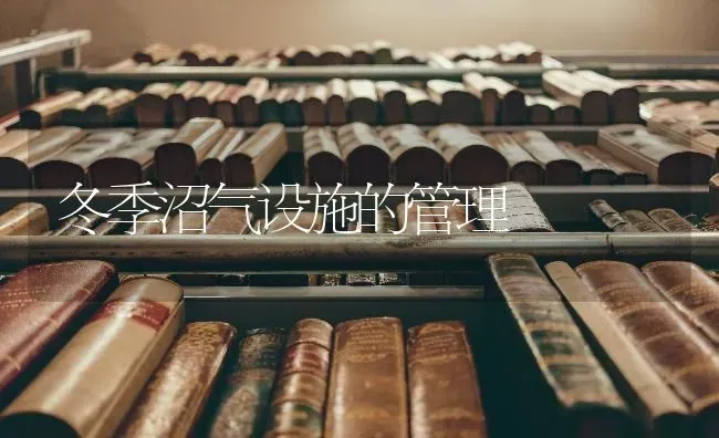 冬季沼气设施的管理 | 养殖知识