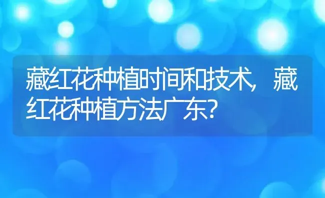 藏红花种植时间和技术,藏红花种植方法广东？ | 养殖学堂