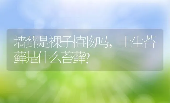 墙藓是裸子植物吗,土生苔藓是什么苔藓？ | 养殖科普