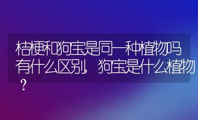 桔梗和狗宝是同一种植物吗有什么区别,狗宝是什么植物？ | 养殖科普