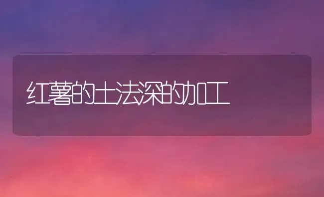 红薯的土法深的加工 | 养殖技术大全